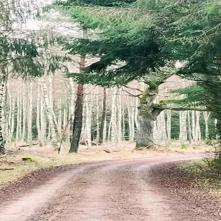4 Person In Frederiksvaerk-by Traum Prázdninový dům