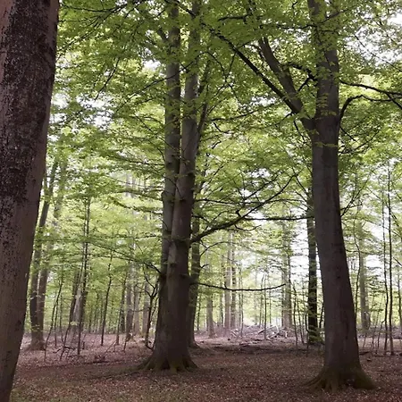 Prázdninový dům 4 Person In Frederiksvaerk-by Traum